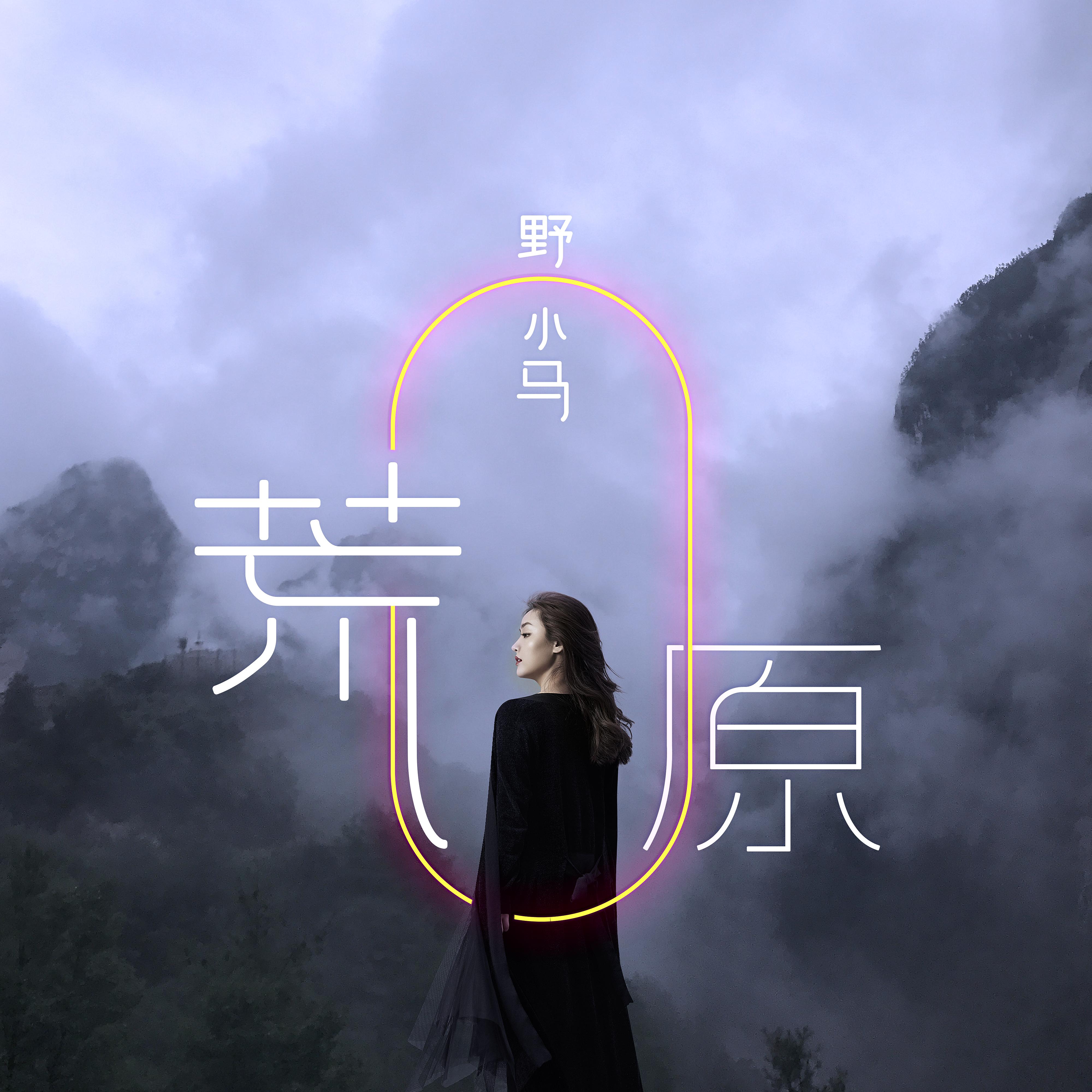 荒原 - 野小马 | 荒原 cover 封面