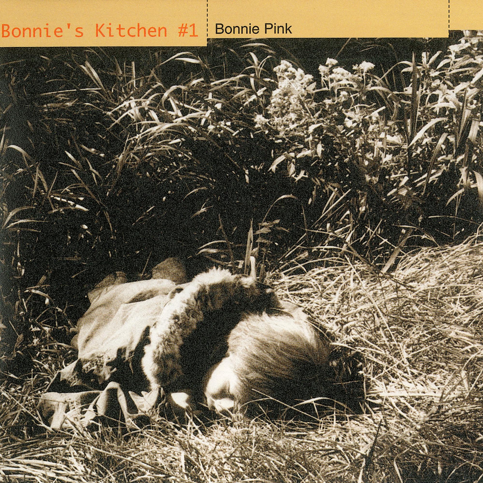 Lie Lie Lie - BONNIE PINK | Lie Lie Lie cover 封面
