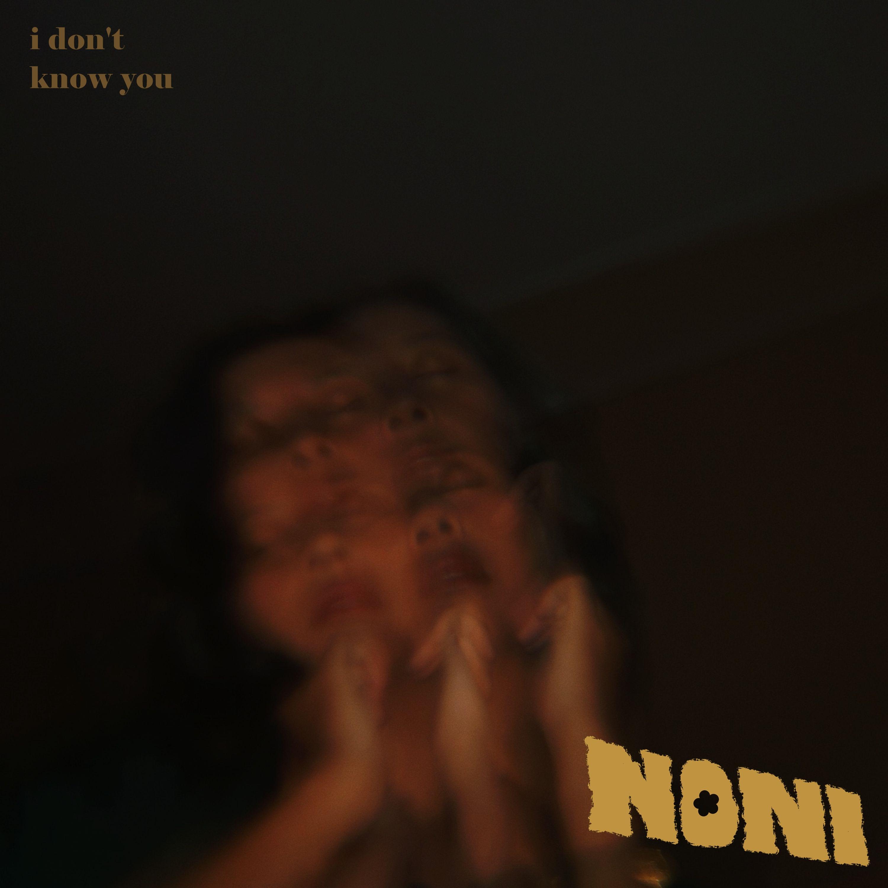 I Don't Know You - Noni | I Don't Know You cover 封面