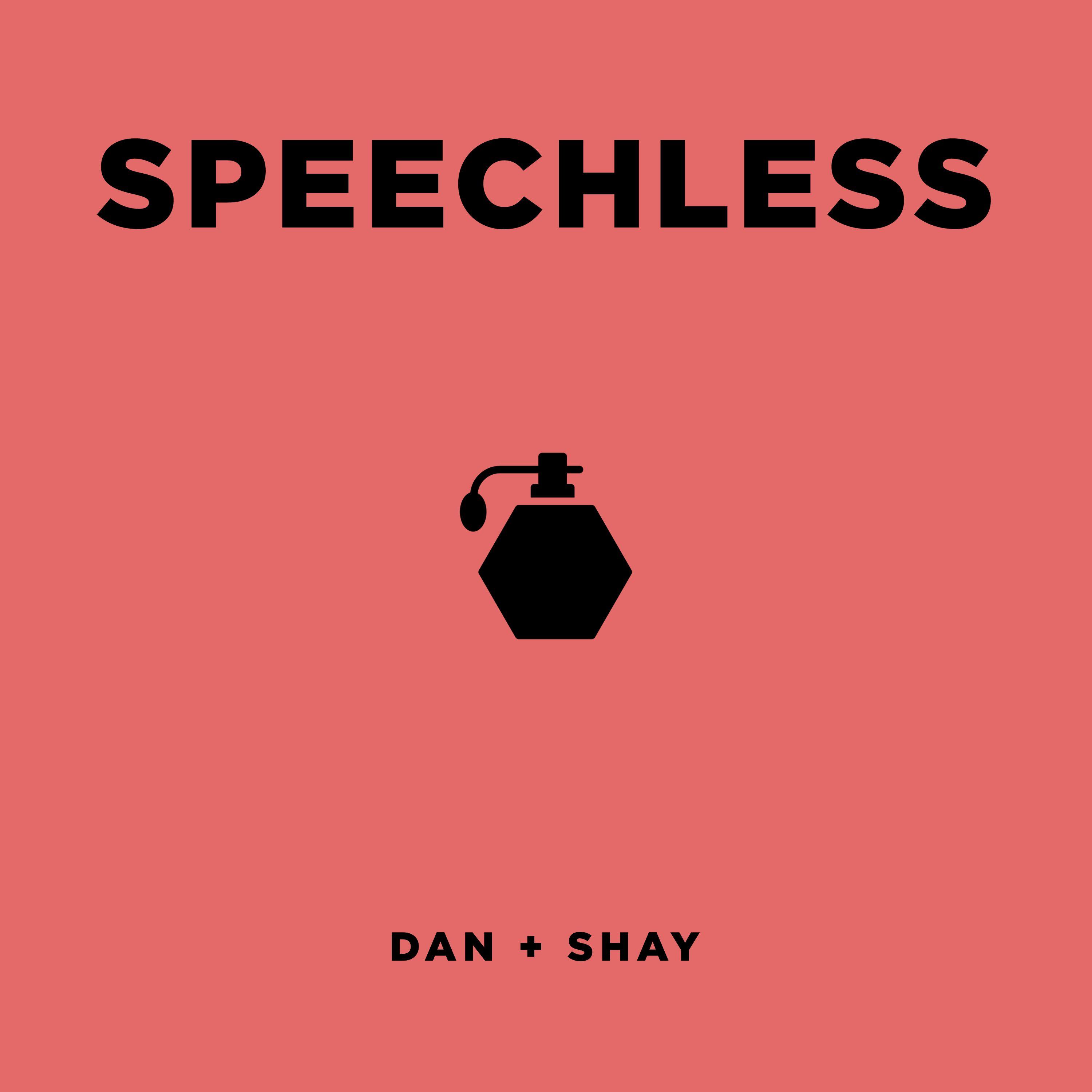 Speechless - Dan + Shay | Speechless cover 封面